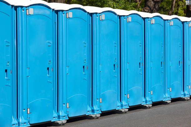 Best Portable Restroom Removal and Pickup  in Hale Center, TX